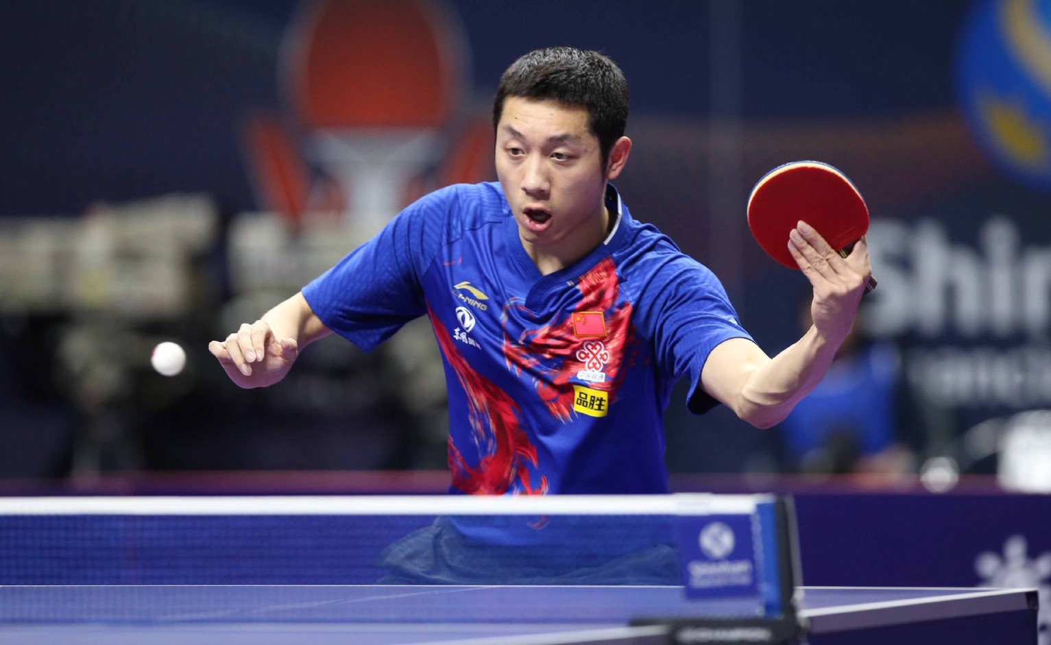 以及他们应 以及他们应