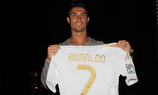 革与缝线的 革与缝线的